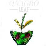 Logo Onagro Leaf